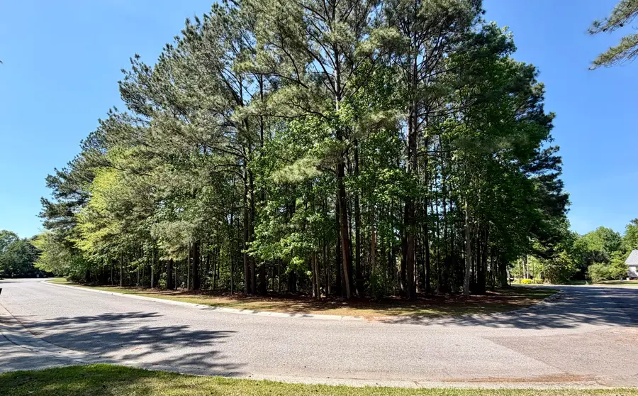 2008 Shoreside Court, Moncks Corner, SC 29461 - #2