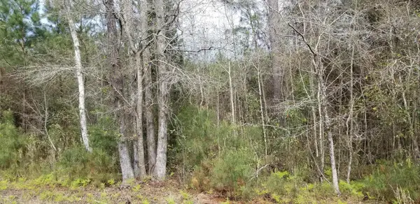 00 Randolph Drive, Smoaks, SC 29481