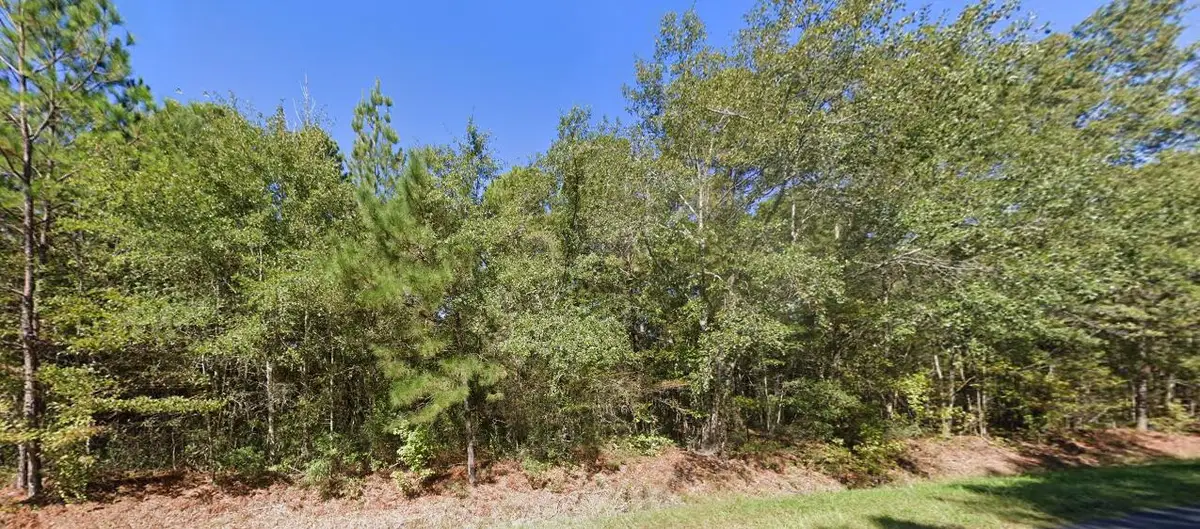 Tbd New Meadow Drive, Reevesville, SC 29471 - #1