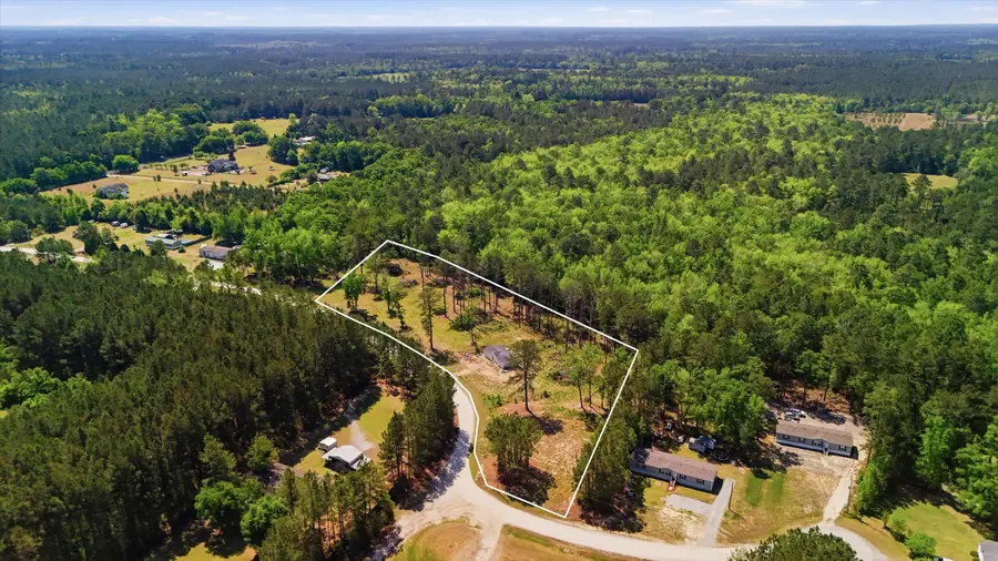 351 Sassafras Court, Walterboro, SC 29488 - #2