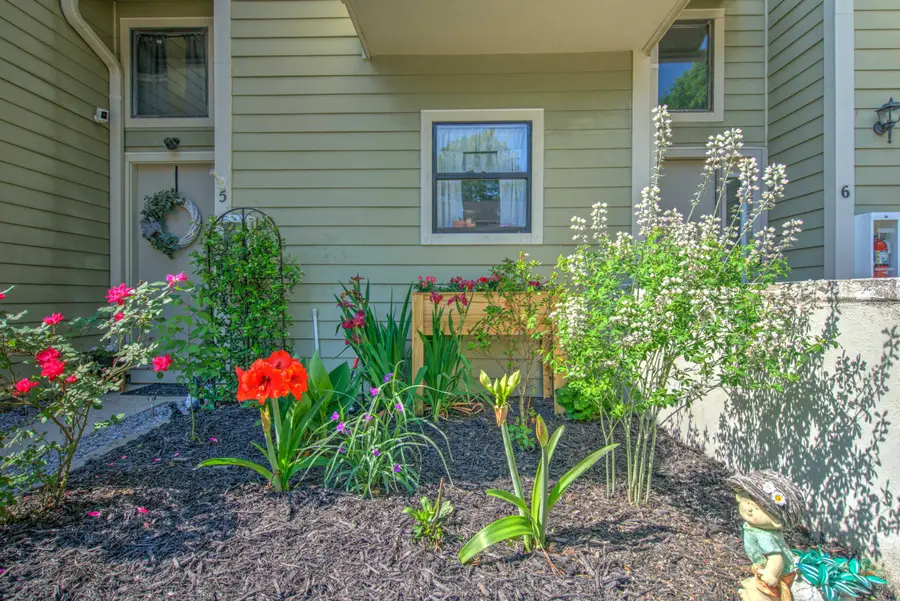 2314 Treescape Drive #Unit 2405, Charleston, SC 29414 - #3