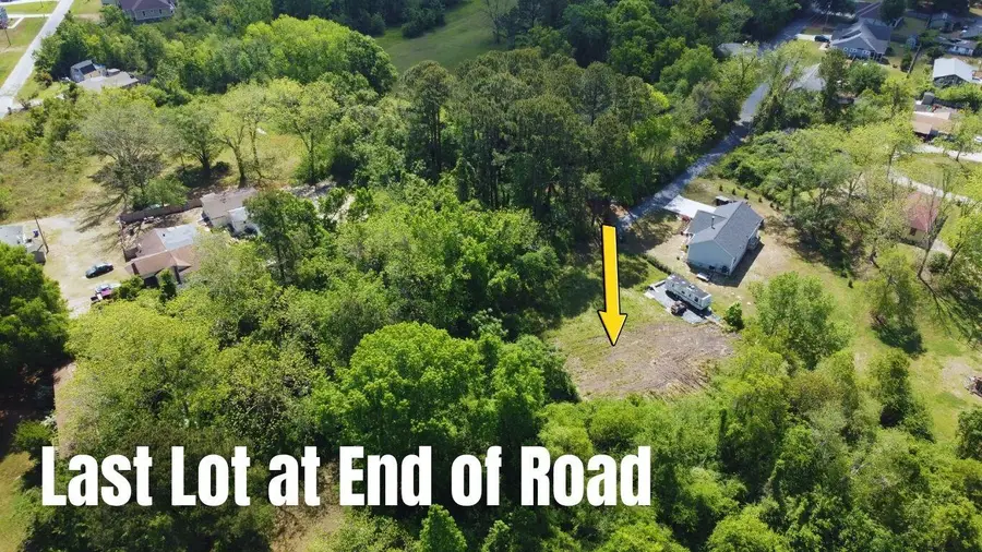 3249 Ben Watson Court, Charleston, SC 29412 - #3