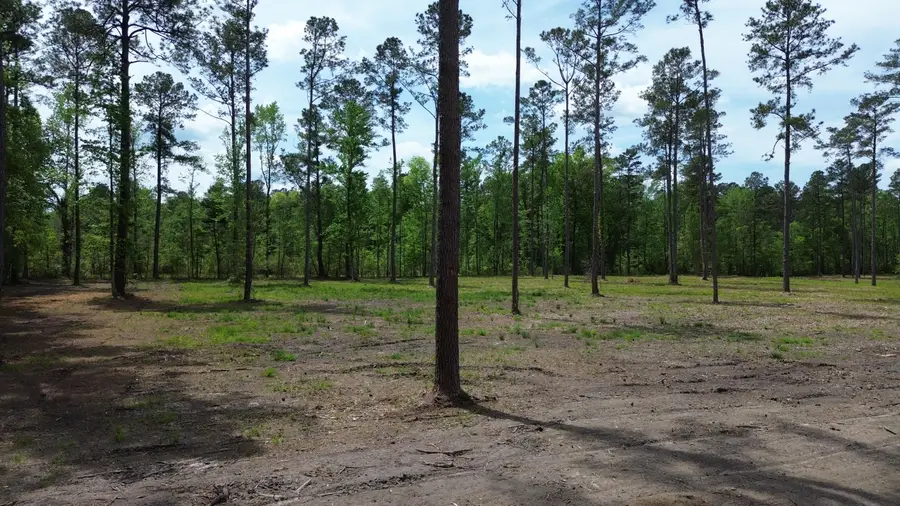 4 Highway 27, Holly Hill, SC 29059 - #3