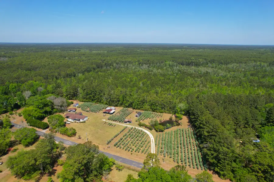 9760 Randall Road, McClellanville, SC 29458 - #2