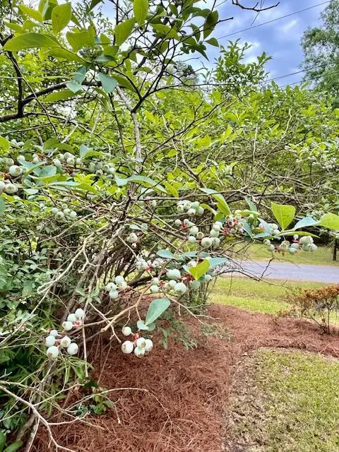 2986 Edbillellis Road, North Charleston, SC 29406 - #2