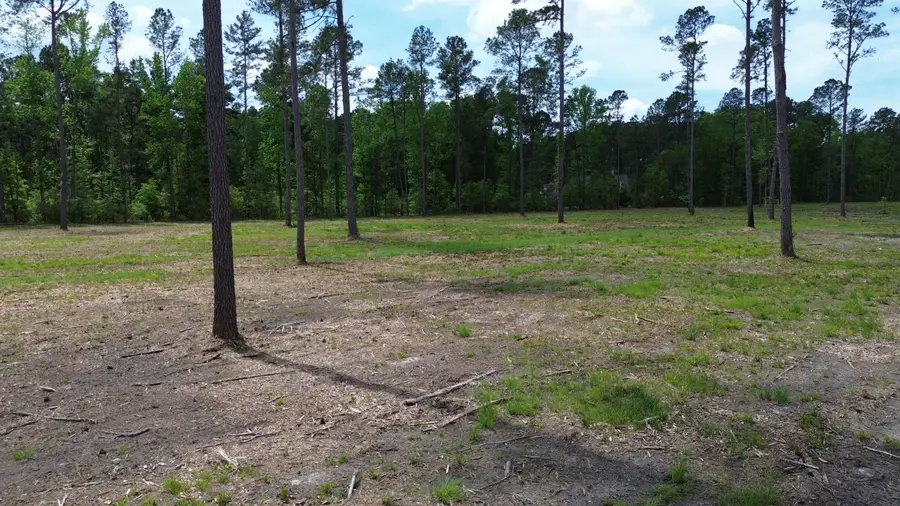 6 Highway 27, Holly Hill, SC 29059 - #3