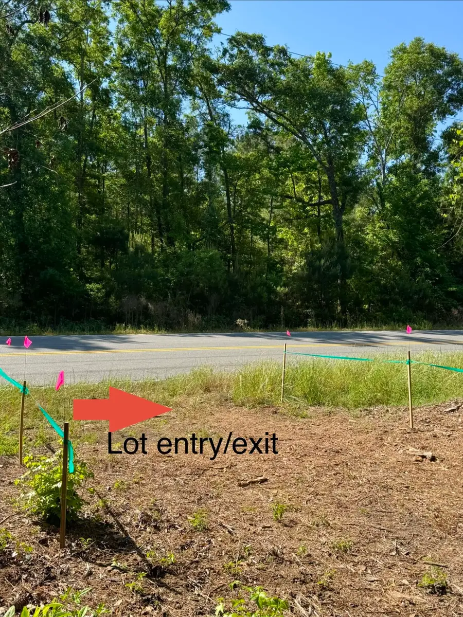 0 Delemar Highway, Ravenel, SC 29470 - #3