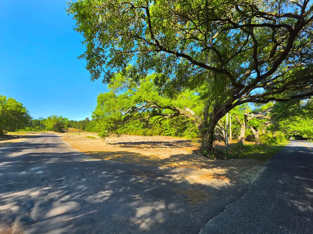 3 Harvest Moon Lane Lane #Lot 3, McClellanville, SC 29458 - #1