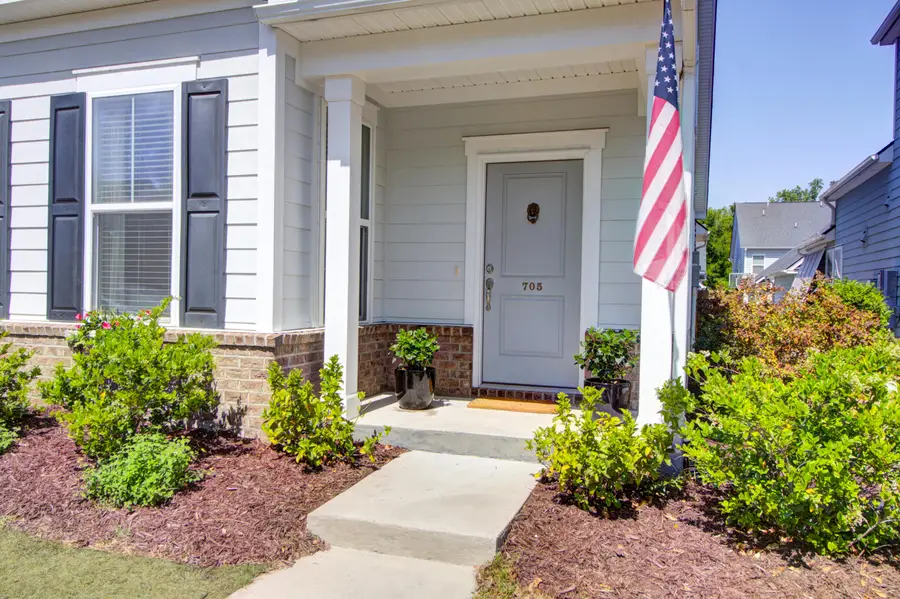 705 Rathall Creek Drive, Charleston, SC 29492 - #3