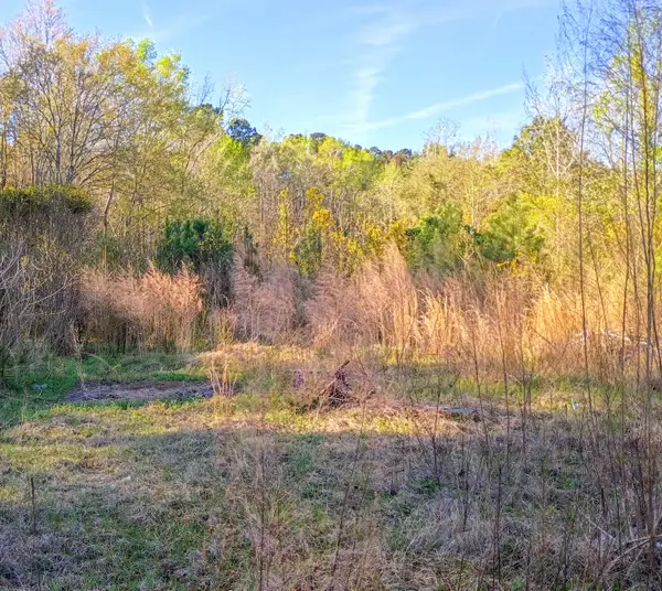 67 Cone Court, Cottageville, SC 29435