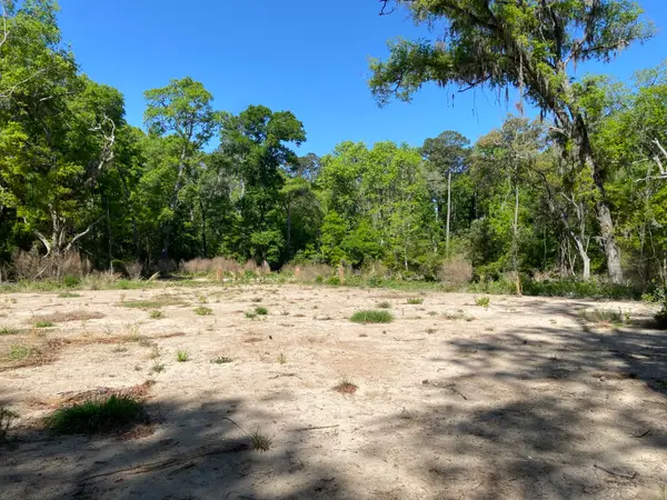 6079 Josie Ridge Road, Wadmalaw Island, SC 29487