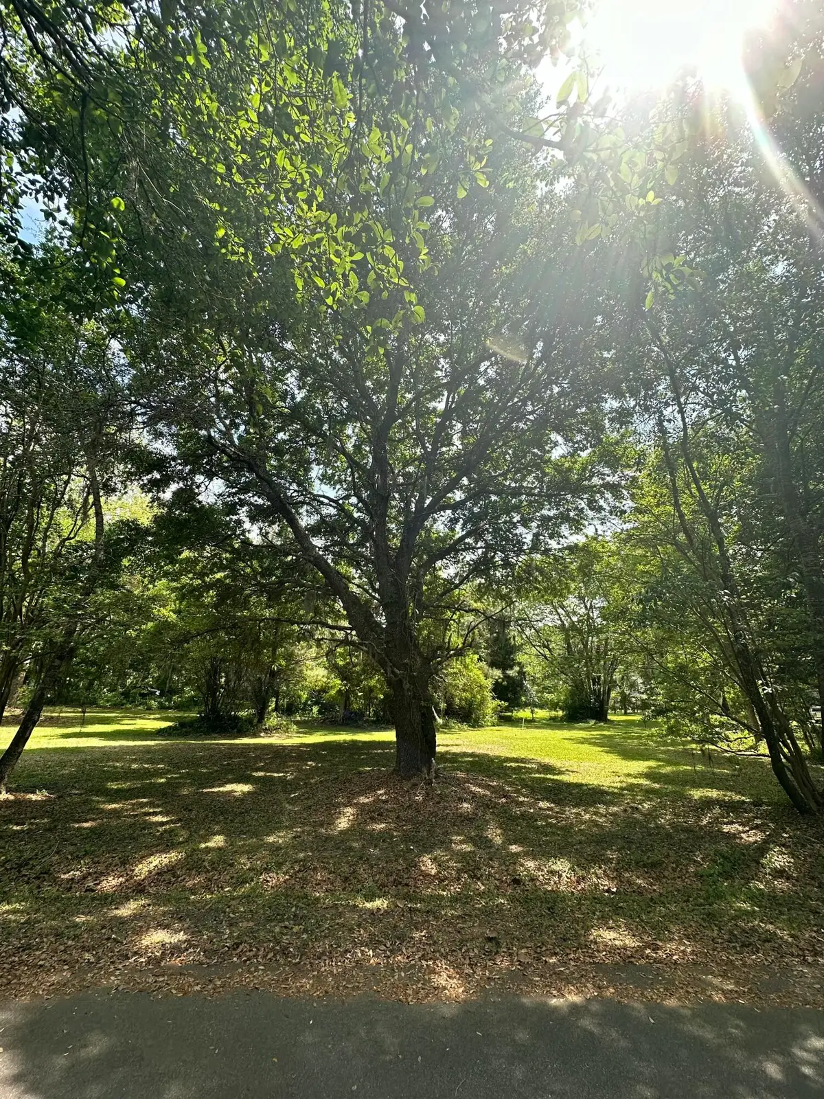 135 Scotia Street, McClellanville, SC 29458 - #1