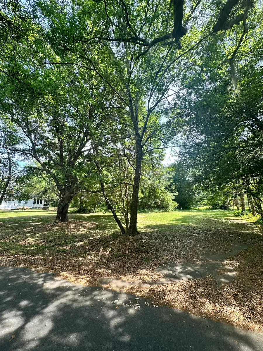 135 Scotia Street, McClellanville, SC 29458 - #3