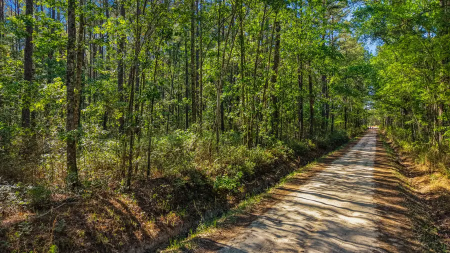 0 Crews Cemetery Road, Varnville, SC 29944 - #2