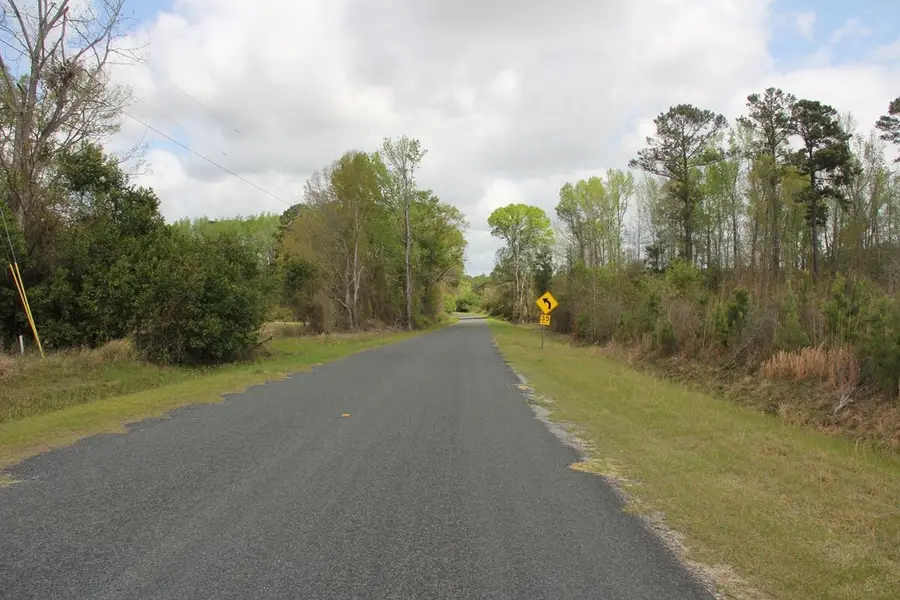 0000 Ponderosa, Saint Matthews, SC 29135 - #3