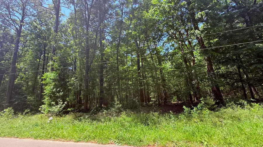 00 Weir Street, Summerville, SC 29483 - #2