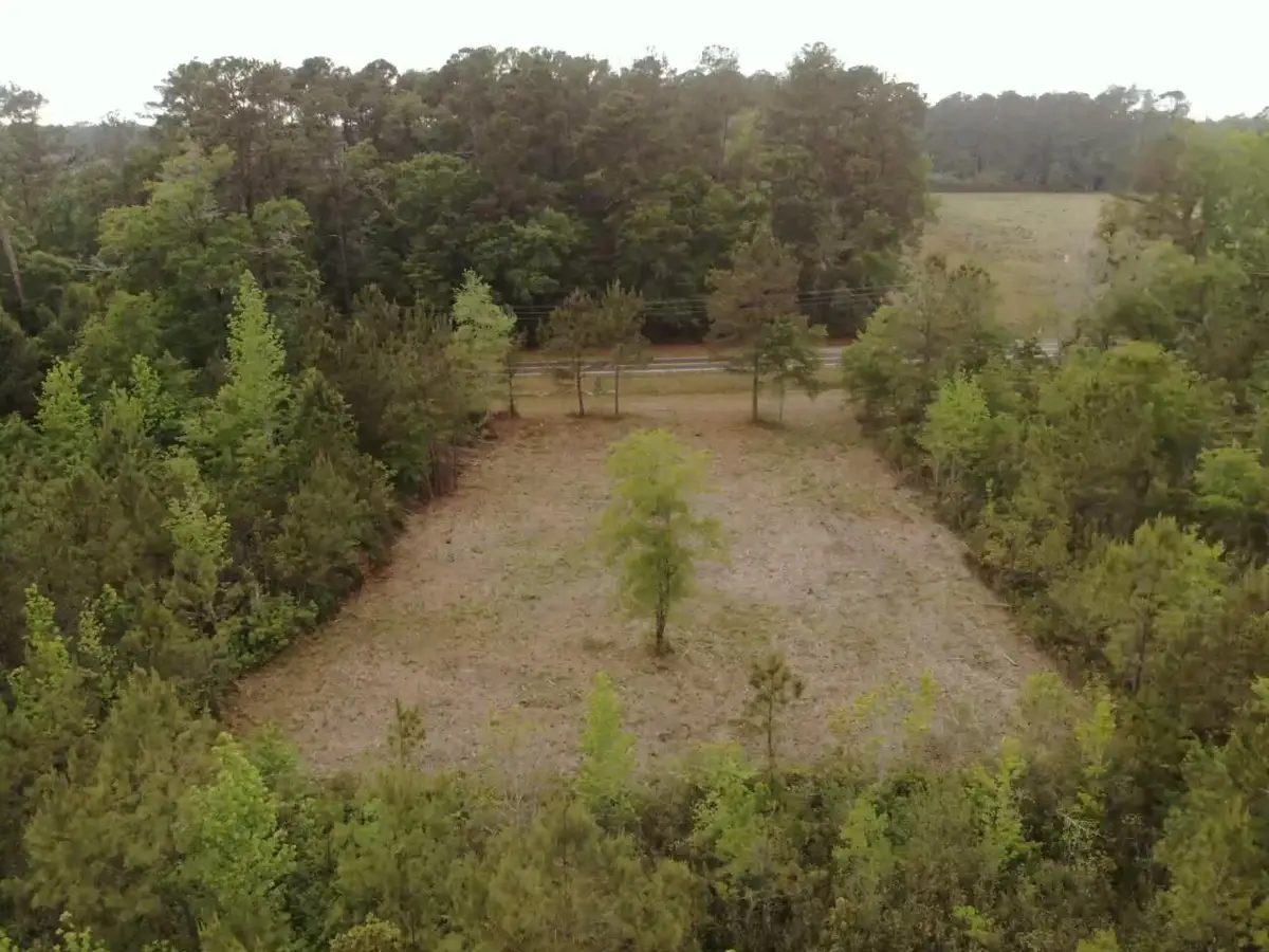 0 Mt Carmel Road, Walterboro, SC 29488 - #1
