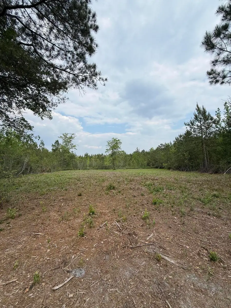 0 Mt Carmel Road, Walterboro, SC 29488 - #3