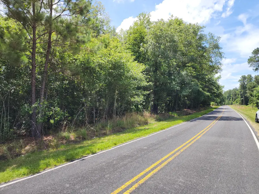 019 Thomas Kate Road, Dorchester, SC 29437 - #3