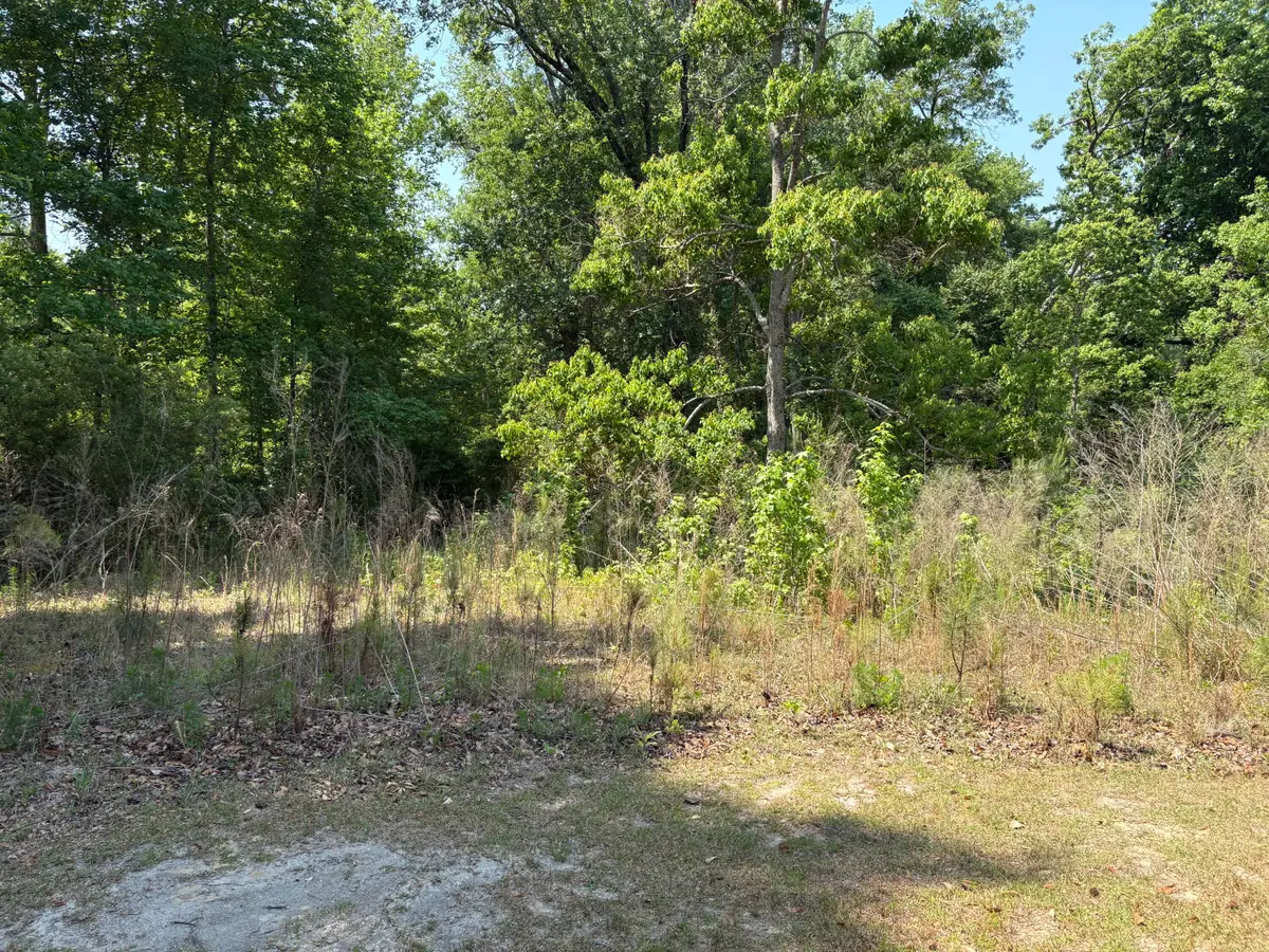 3660 Foxfire Lane, Orangeburg, SC 29118 - #1