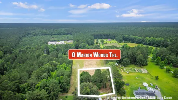 1 Marion Woods Trail, Bonneau, SC 29431