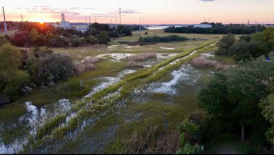 2311 Peonie Street, Charleston, SC 29405 - #2