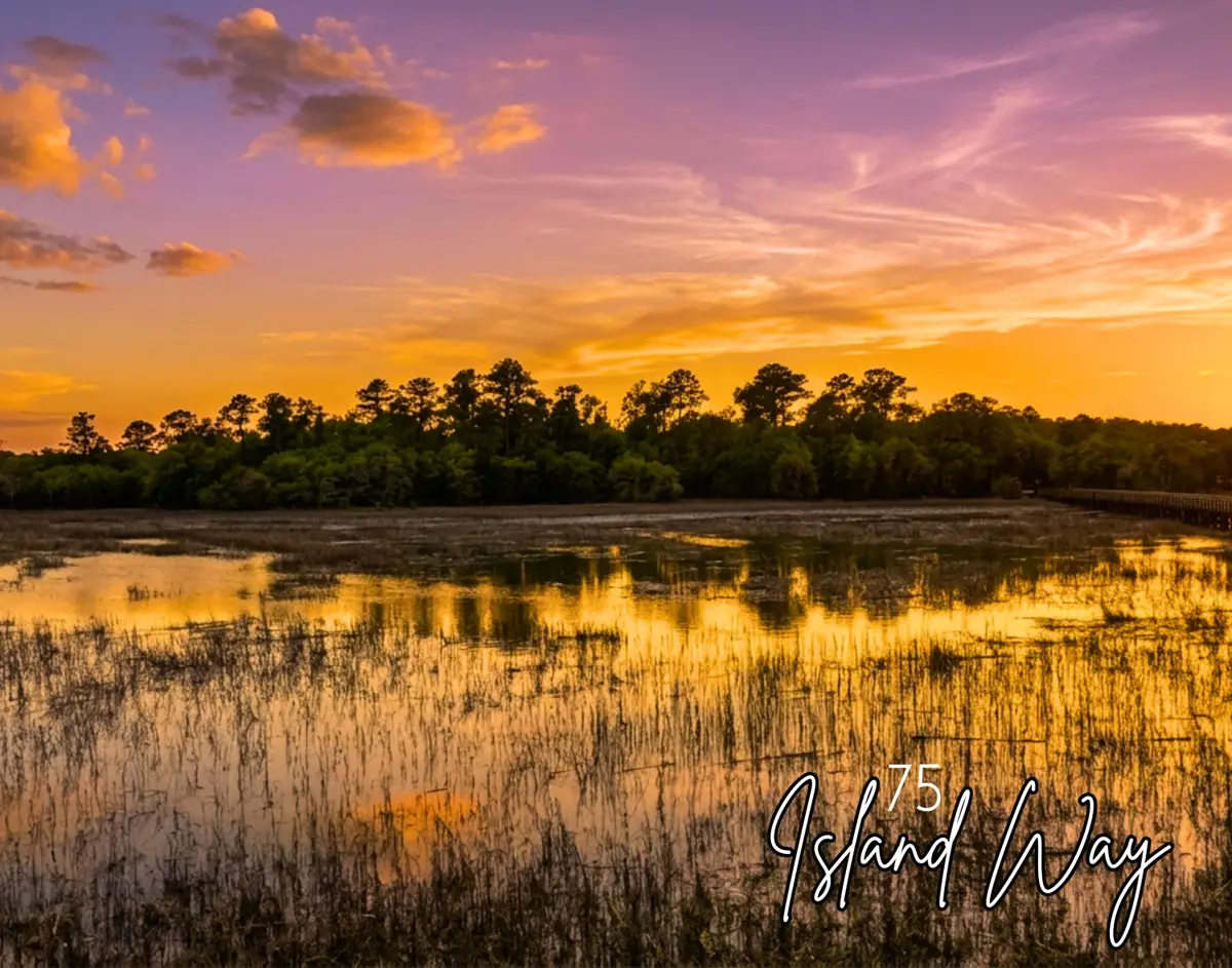 75 Island Way, Seabrook, SC 29940 - #1