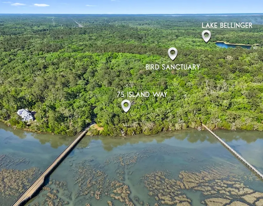 75 Island Way, Seabrook, SC 29940 - #3