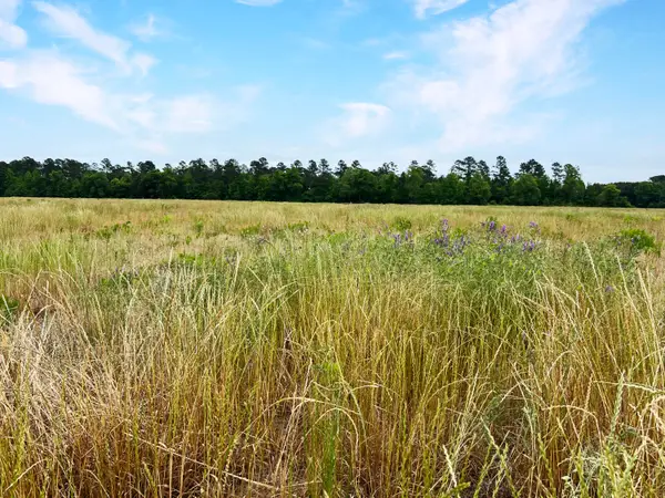 1 Us-15, Saint George, SC 29477