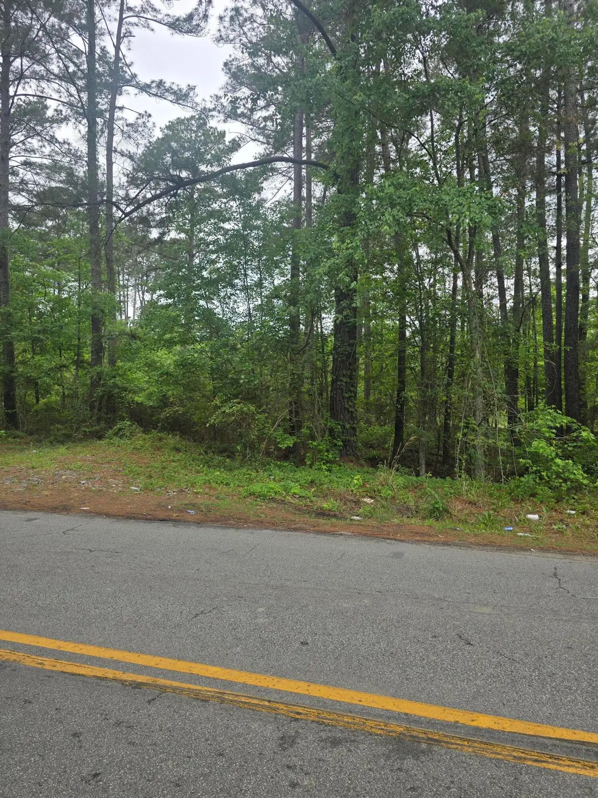 0 Pete Ewers Drive, Summerville, SC 29483 - #1