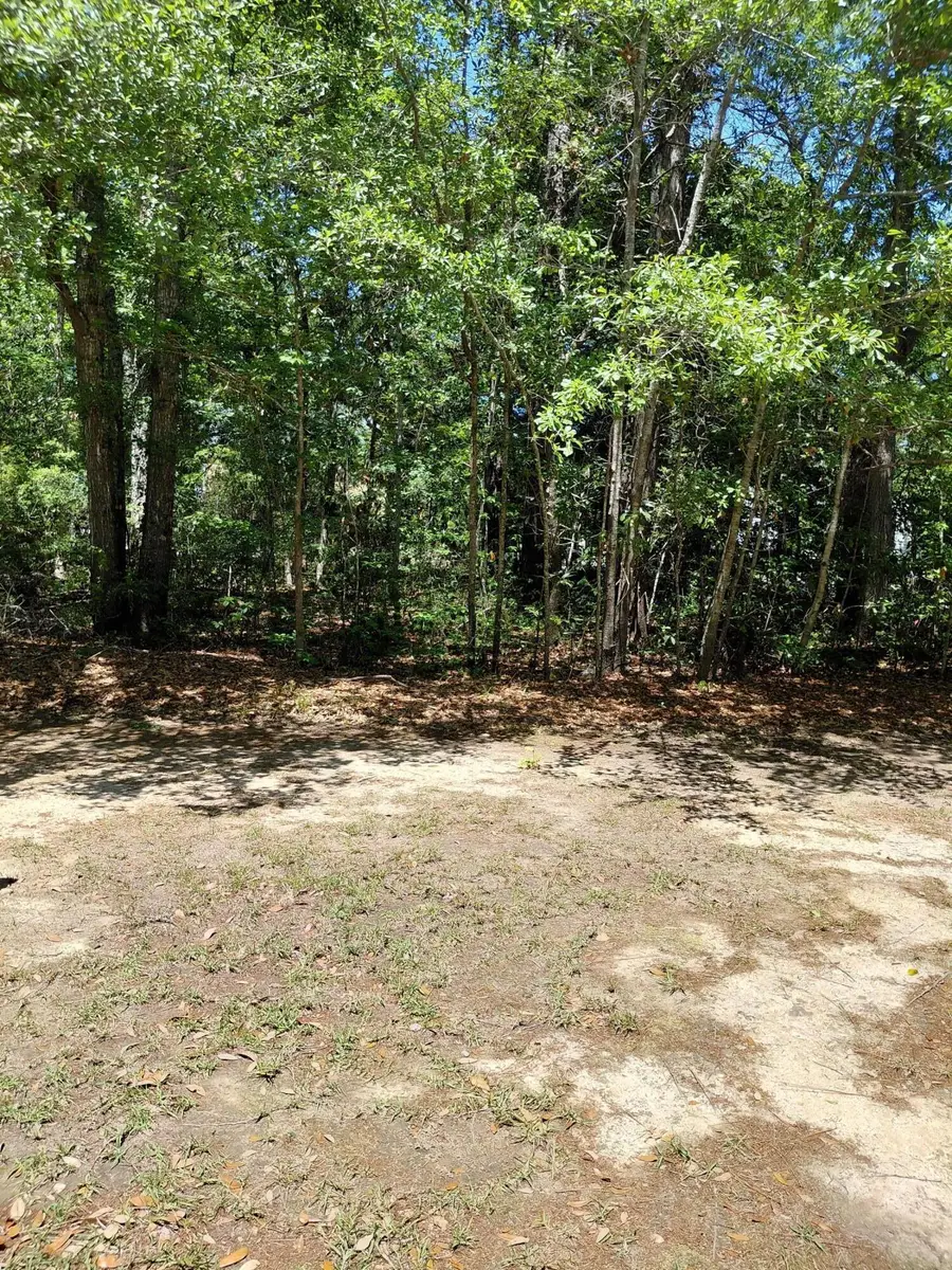 312 Hundred Oaks Parkway, Summerville, SC 29483 - #2