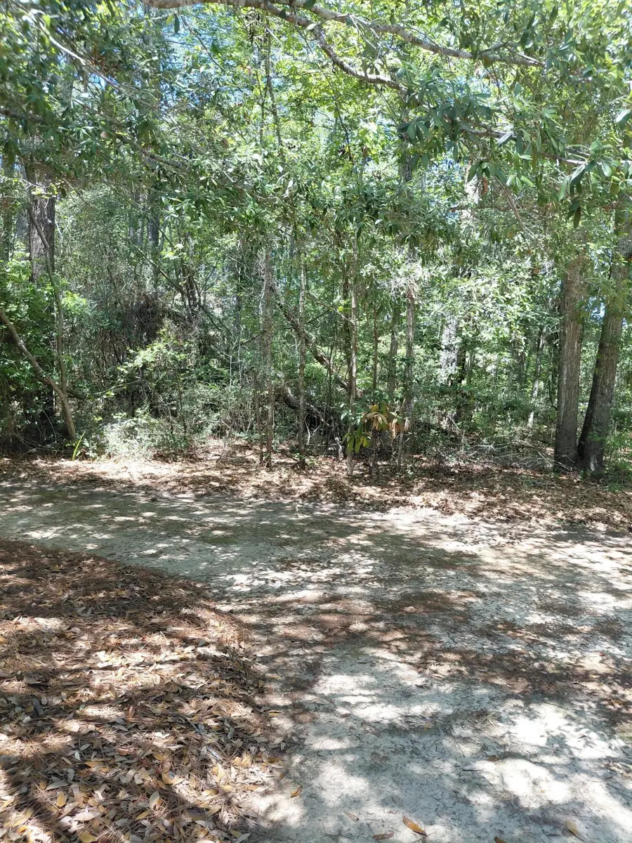 316 Hundred Oaks Parkway, Summerville, SC 29483 - #3