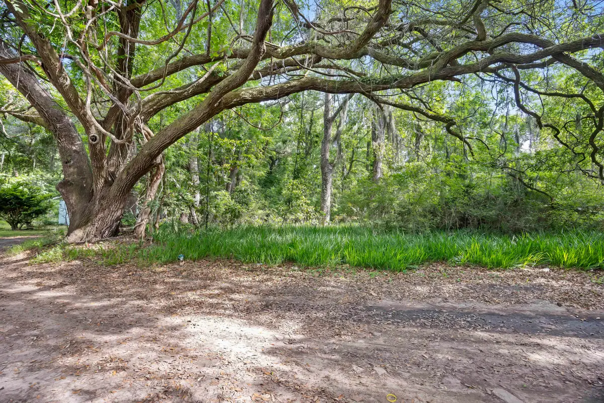 2496 Boy Scout Road, Wadmalaw Island, SC 29487 - #1