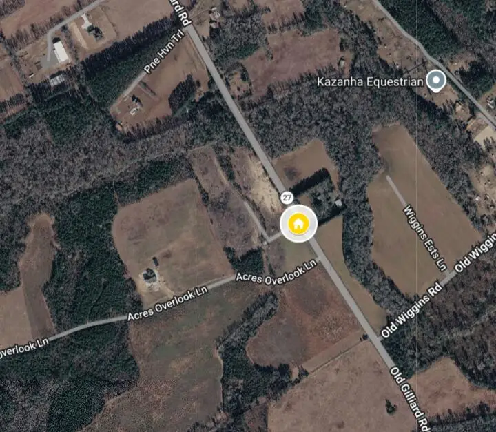 545 New Regenia Place, Holly Hill, SC 29059 - #2