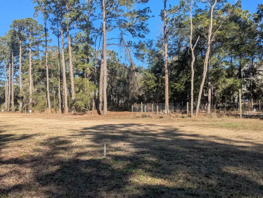 2128 Mcneil Washington Road, Charleston, SC 29412 - #3