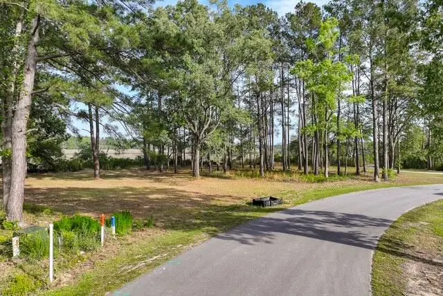 265 Castle Hill Drive, Yemassee, SC 29945 - #1