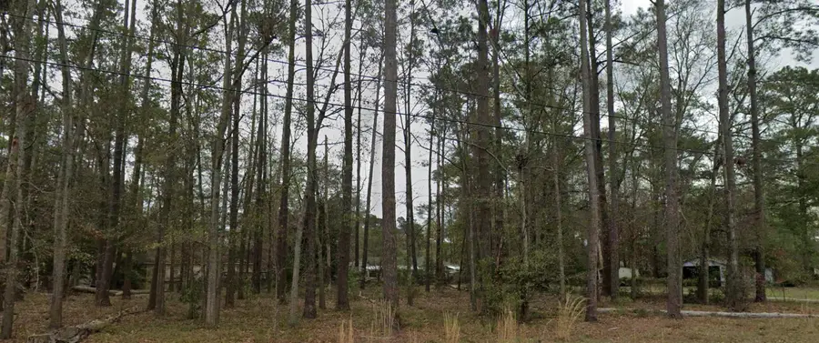 0-3 Hazel Street, Walterboro, SC 29488 - #2