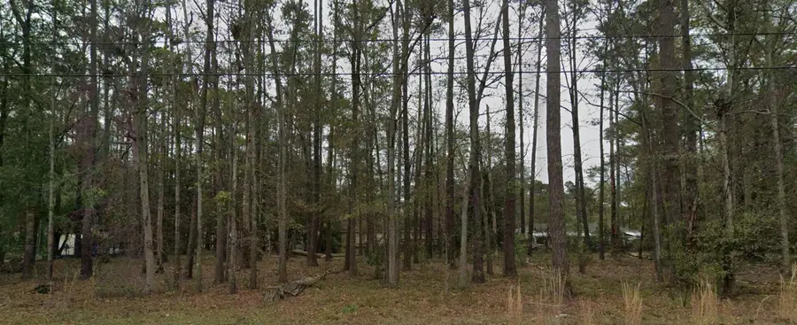 0-3 Hazel Street, Walterboro, SC 29488 - #3