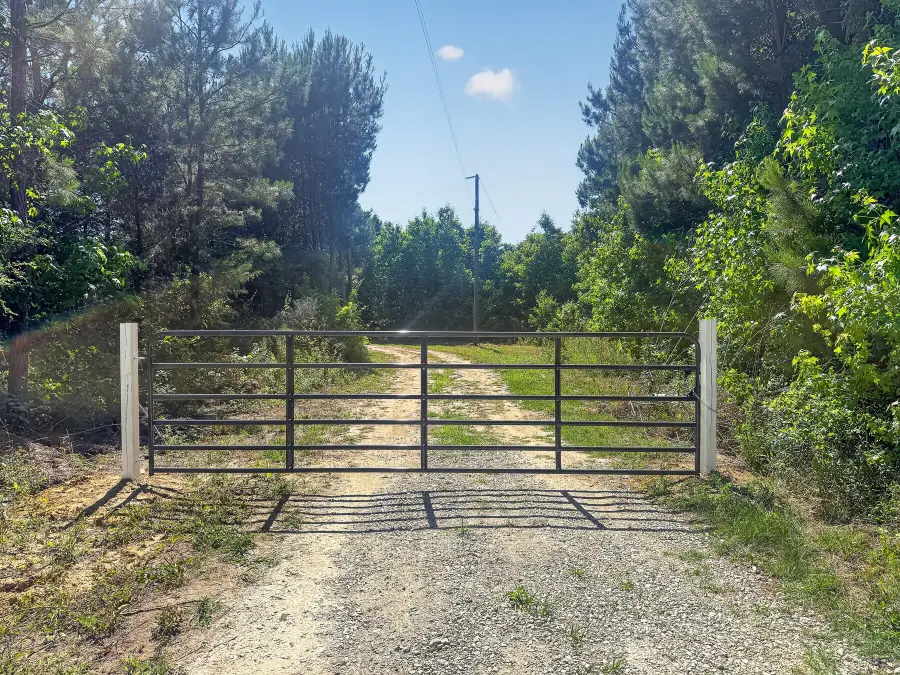 131 Ridgle Estates Road, Harleyville, SC 29448 - #2