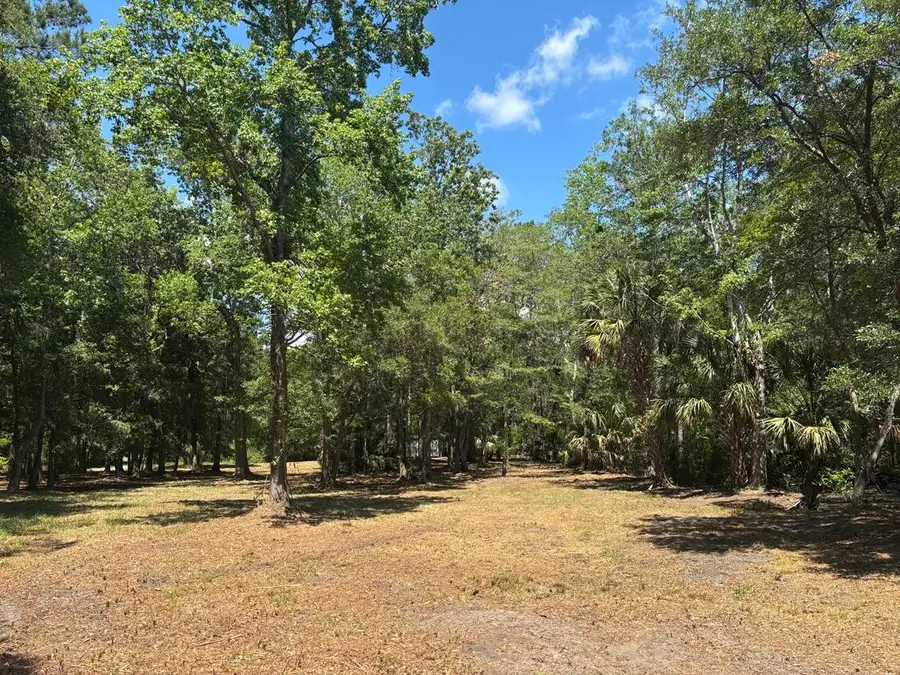 2044 Shell Island, Johns Island, SC 29455 - #2