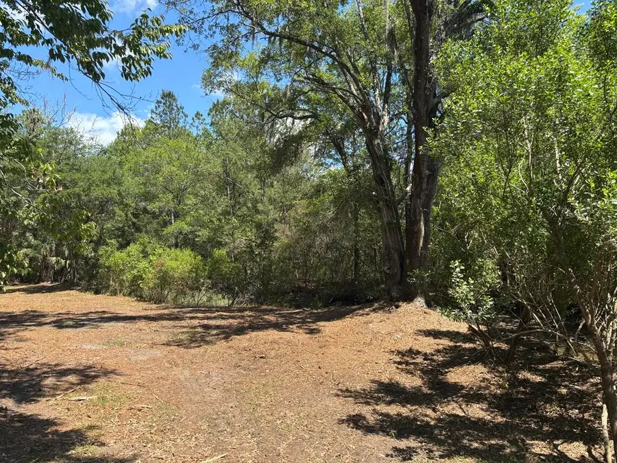 2044 Shell Island, Johns Island, SC 29455 - #3