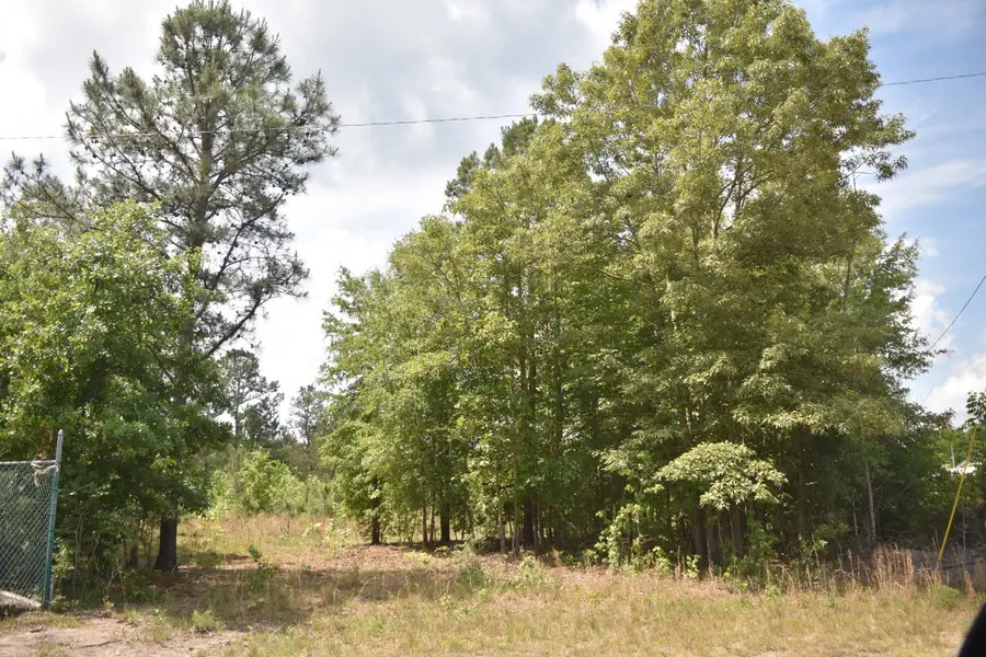 Tbd Hawthorne Drive, Kingstree, SC 29556 - #2
