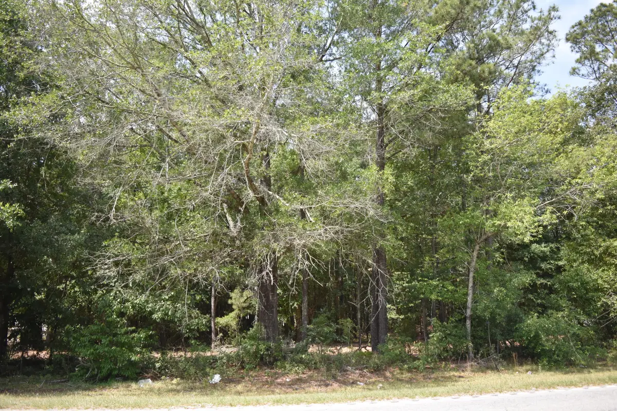 Tbd Sumter Highway, Kingstree, SC 29556 - #1