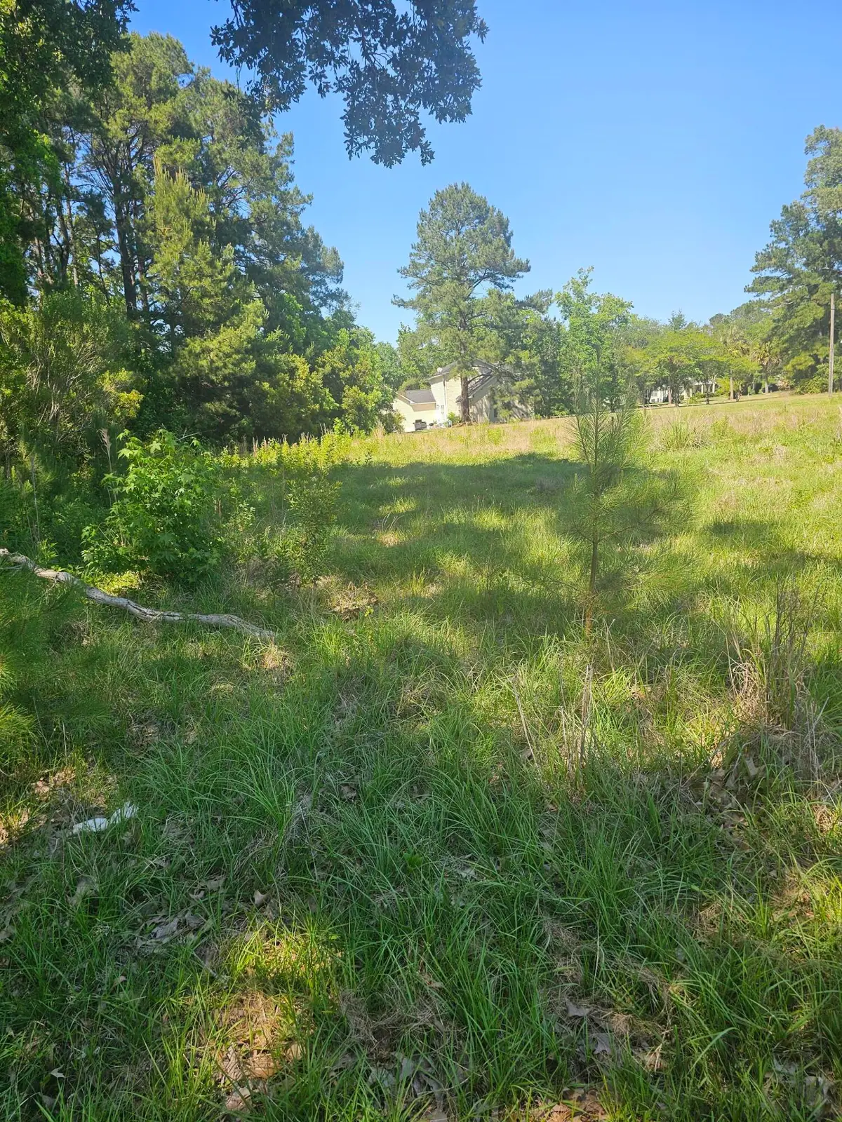 0 Jeff Lane, Goose Creek, SC 29445 - #1