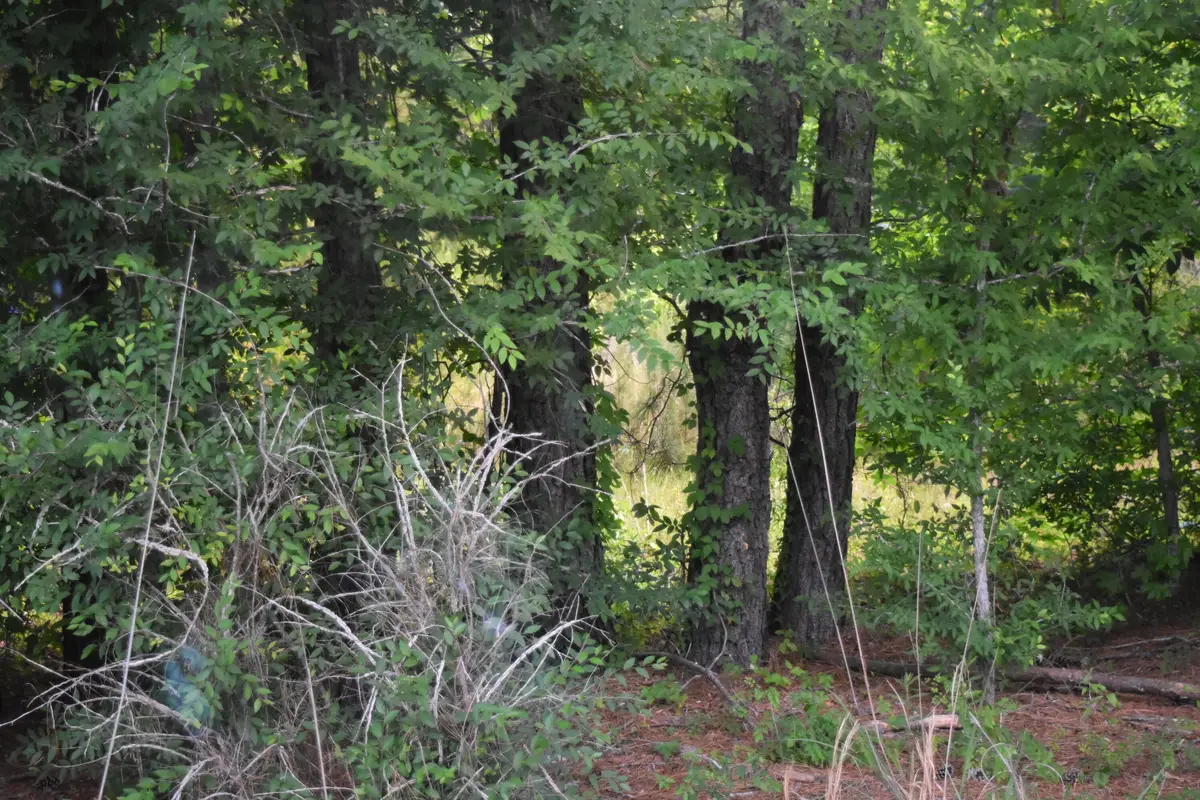 Lot 2 Mc Kinnon Dove Drive, Marion, SC 29571 - #1