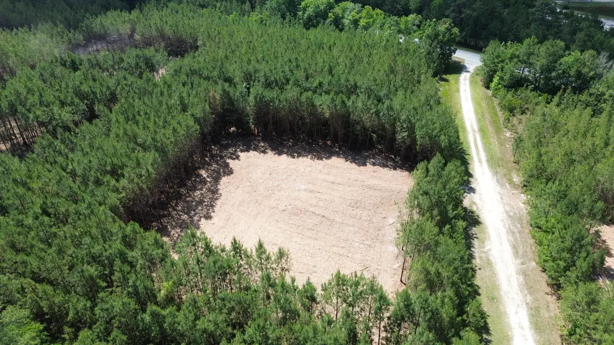 5 Highway 311, Cross, SC 29436 - #1