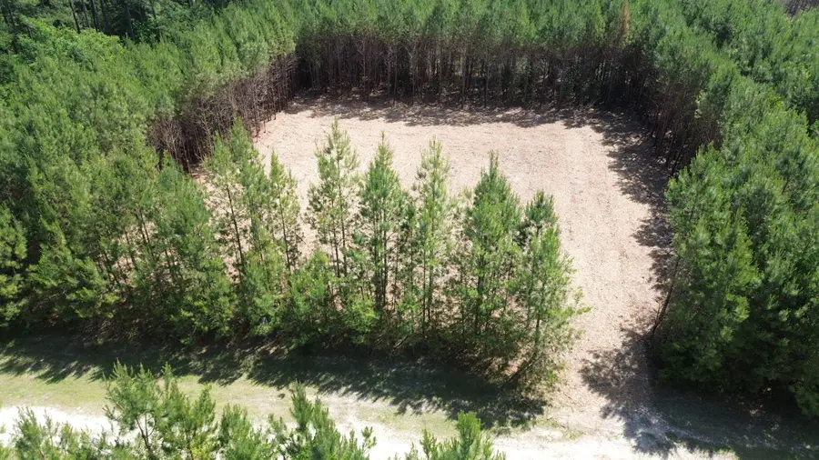 5 Highway 311, Cross, SC 29436 - #3
