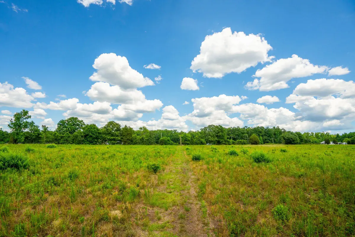 0 Rehoboth Road, Cottageville, SC 29435 - #1