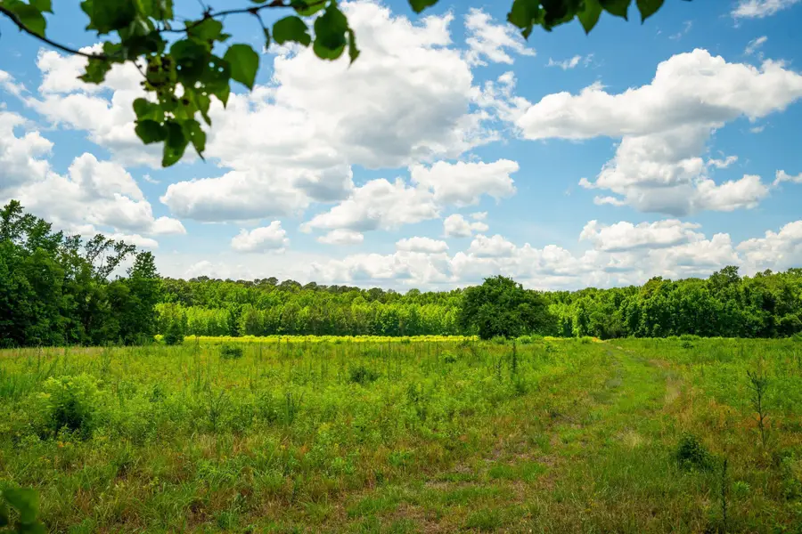 0 Rehoboth Road, Cottageville, SC 29435 - #2