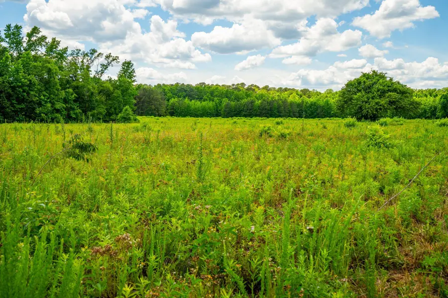 0 Rehoboth Road, Cottageville, SC 29435 - #3
